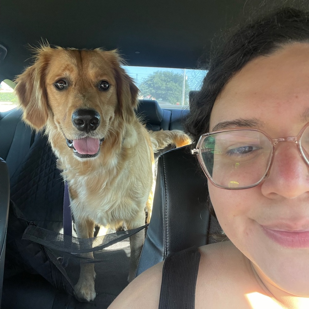 Meet your Posher, Ashley